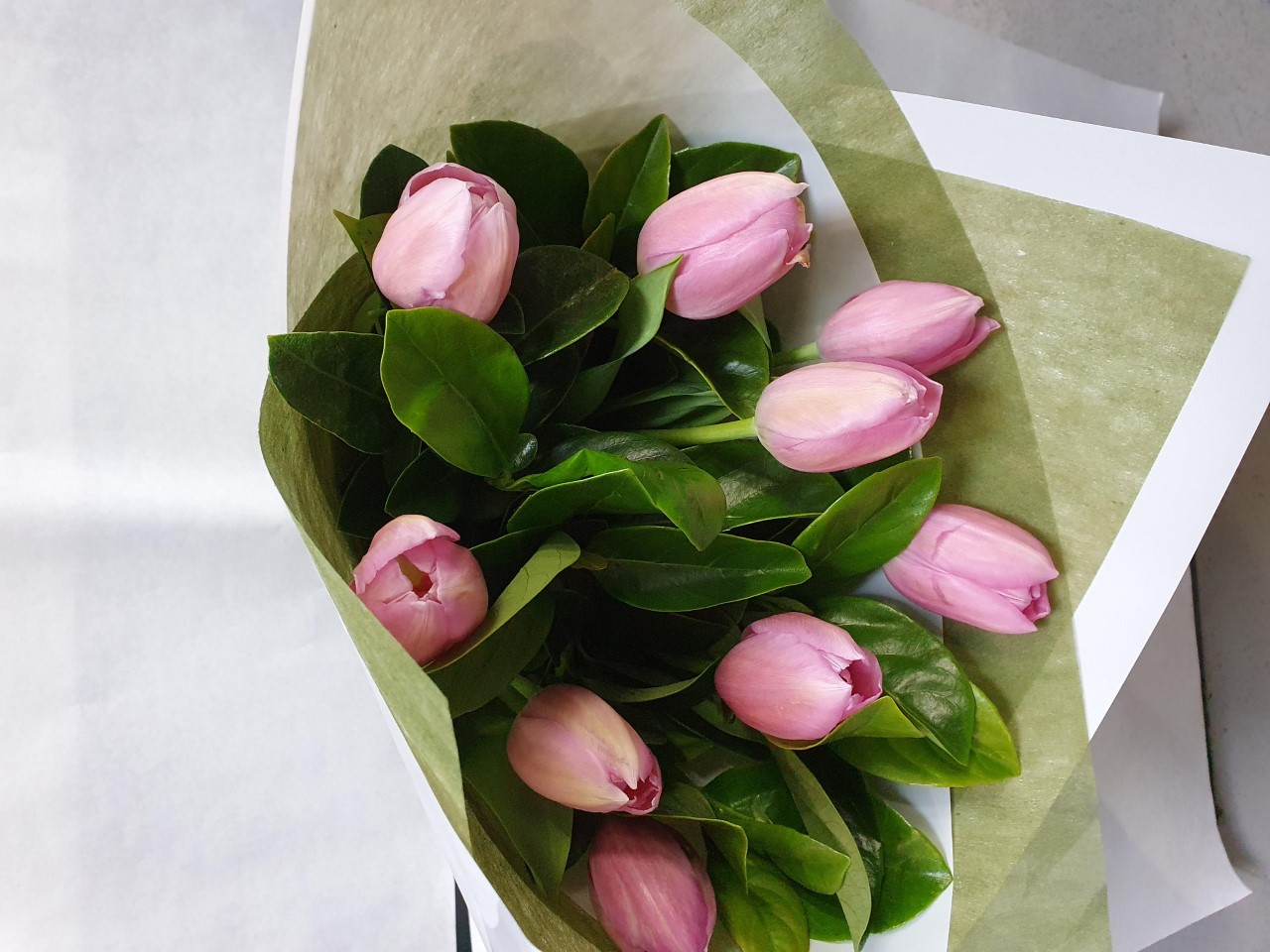 Tulips From 